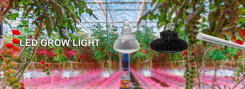 led grow light