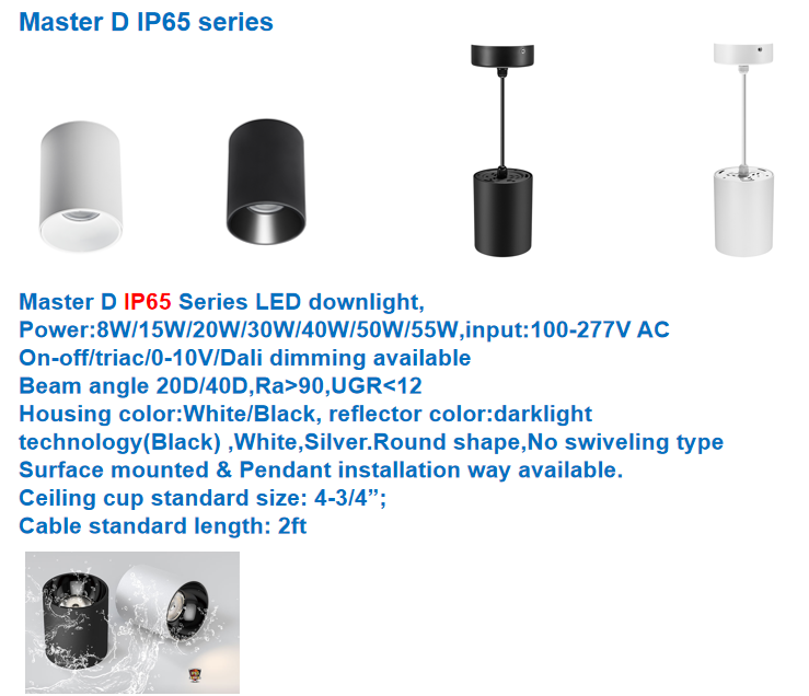 SZDAYTON Lighting Master D IP65 Series Cylinder Shaped 30W Downlight exterior led downlight surface mounted