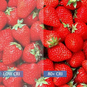 2x4 led troffer 5000k