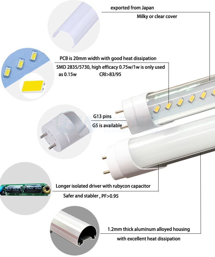 t5 t8 LED lamp