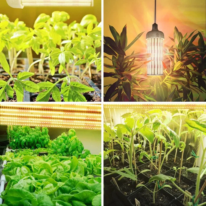 led corn bulb for growing4 led corn bulb for growing4