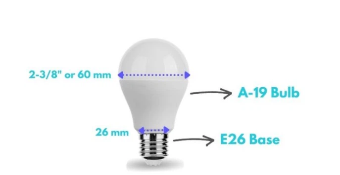 info-687-355 info-687-355