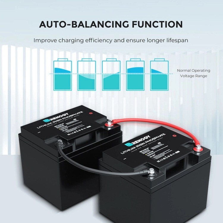 lithium iron phosphate battery 24 volt3 lithium iron phosphate battery 24 volt3