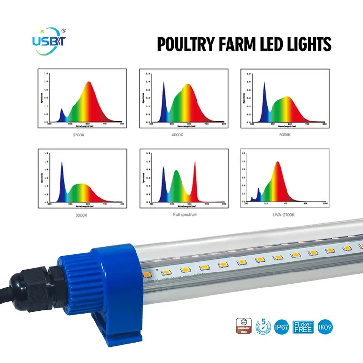 DC12V LED Poultry Lighting CCT DC12V LED Poultry Lighting CCT