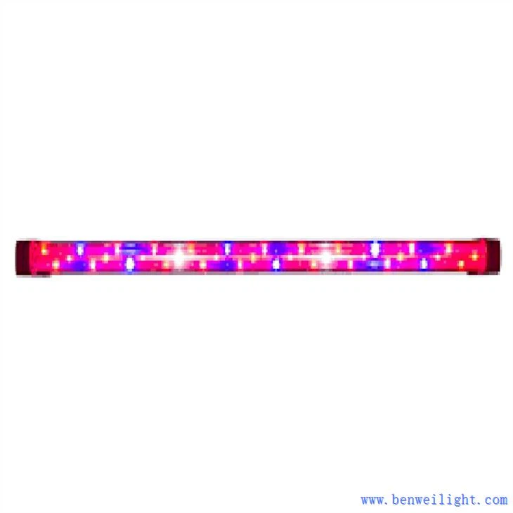 a grow light