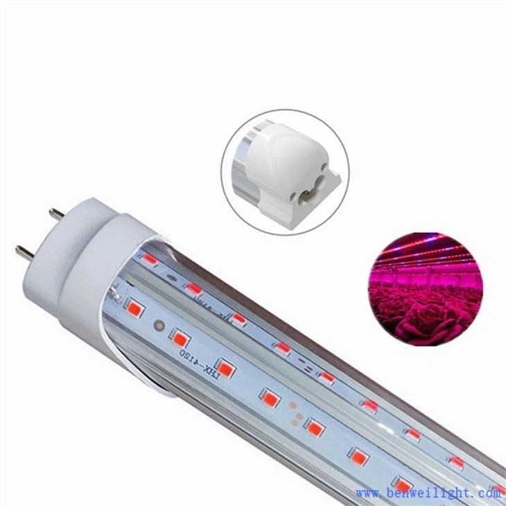 grow light greenhouse