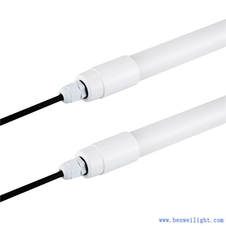 Poultry Lighting Systems