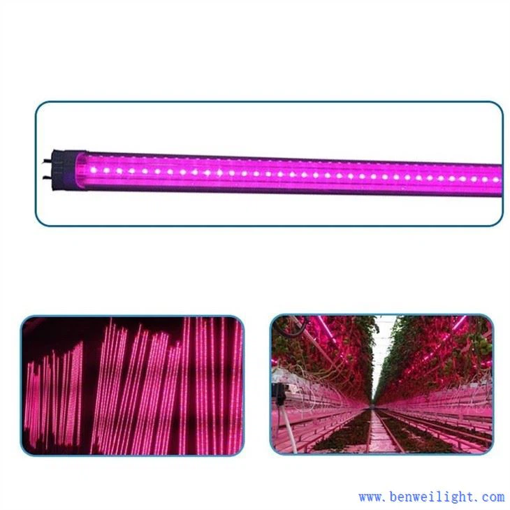 L.e.d Grow Lights