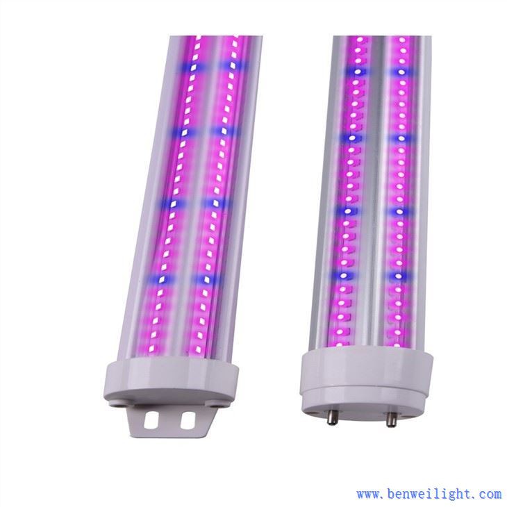 Grow Lights For Plants