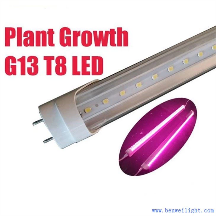 Plant Growth G13 T8 Led