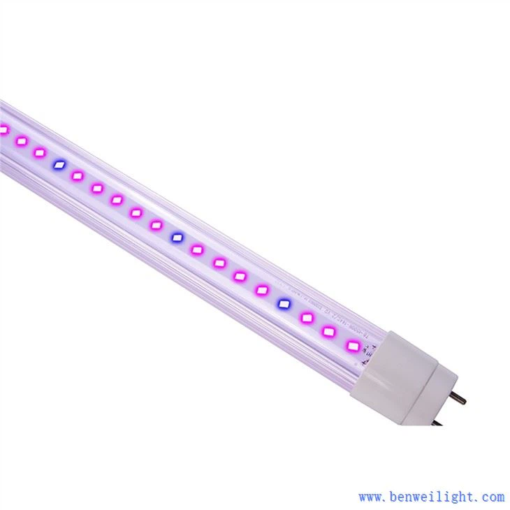 grow lights