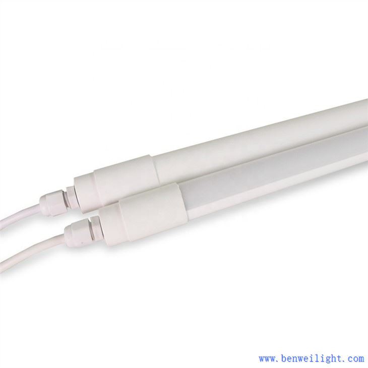 light breed poultry