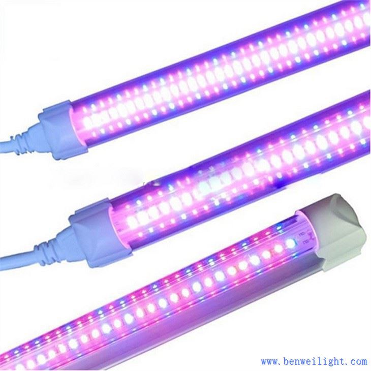 grow light for flowers and fruit