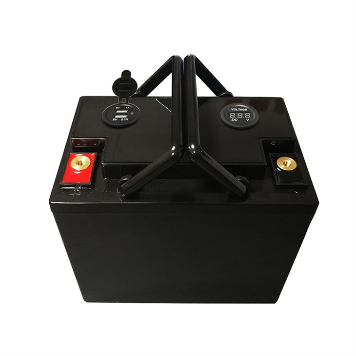 Bms Lifepo4 Battery 12v 100ah Car Battery