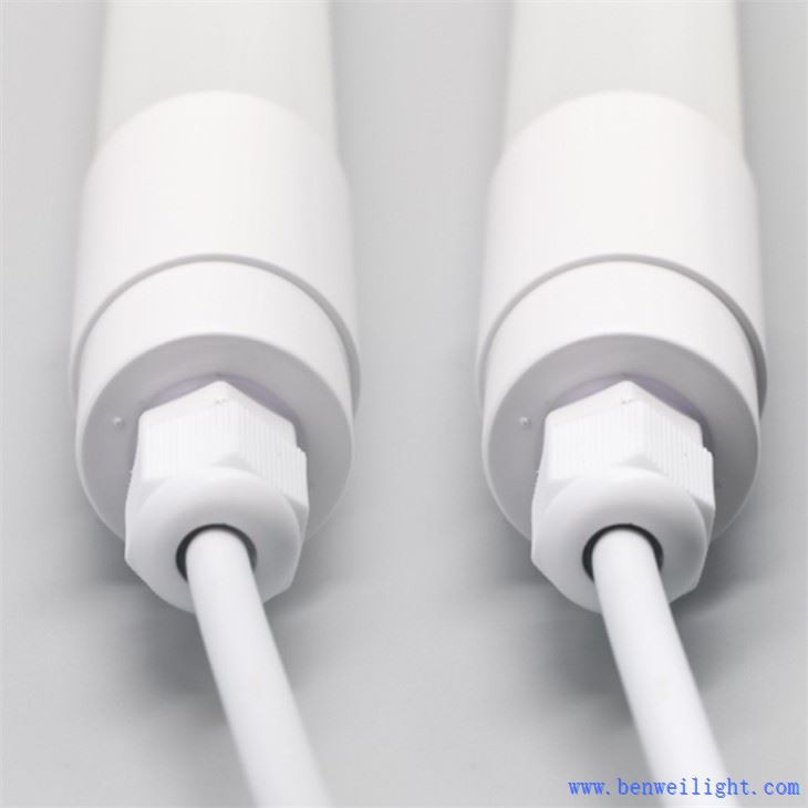 poultry light bulbs