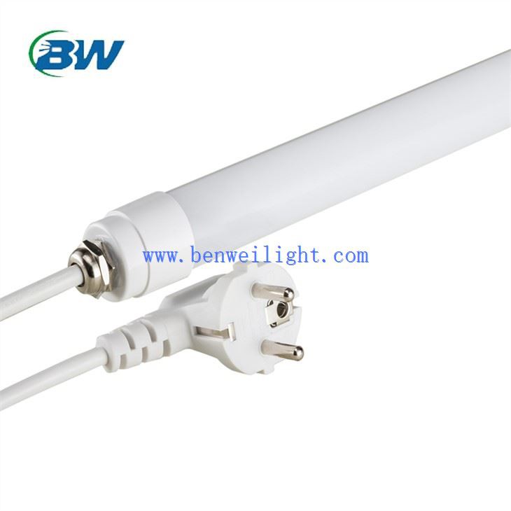 Poultry Light