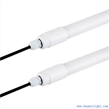 Poultry Lighting Systems