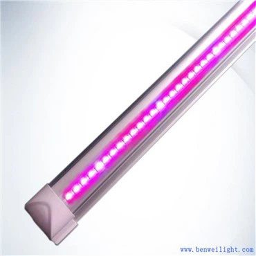 Grow Light Cabinet