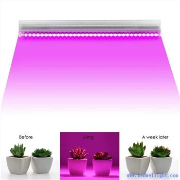 Uv B Grow Light