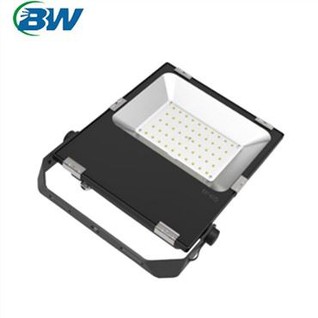 Flood Light