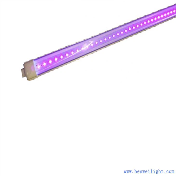 395nm UV Lamp