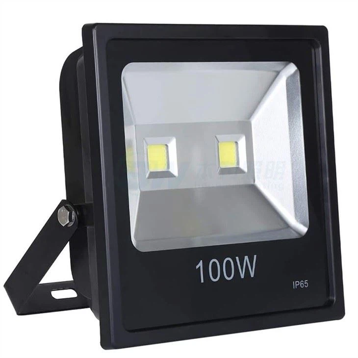 White Pir Security Light