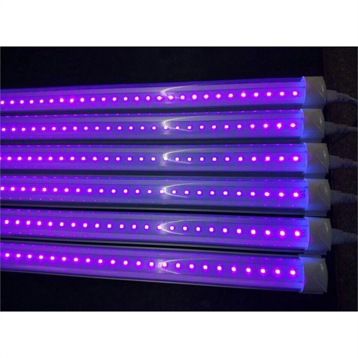 4ft Blacklight Bulb