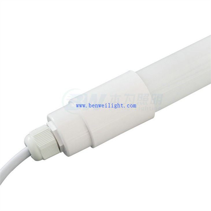 Broiler Lighting Program