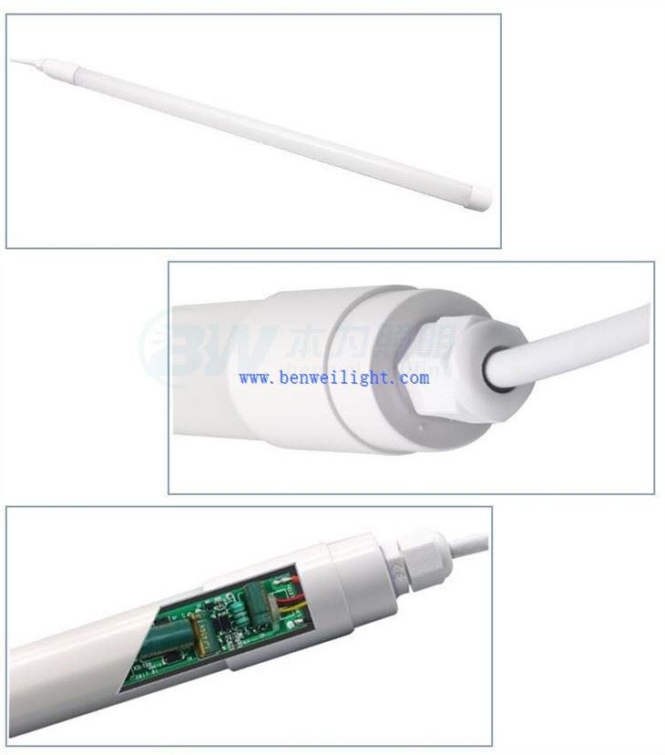 light in chicken coop at night