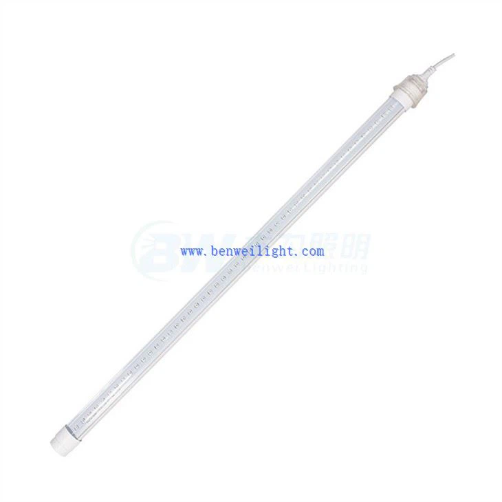 Lighting For Broiler Chickens