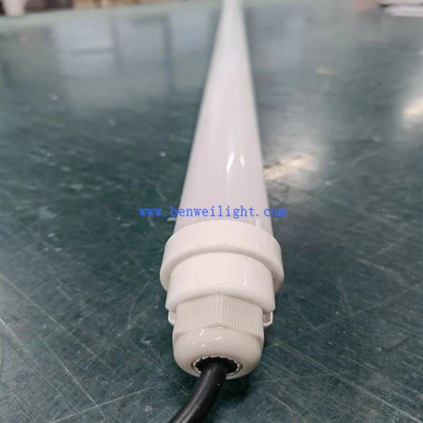 Lighting Systems For Pig Houses