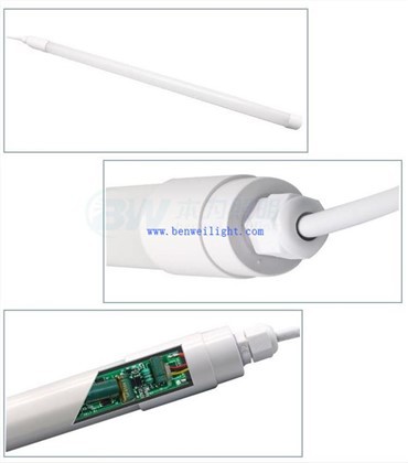 Commercial Poultry Lighting