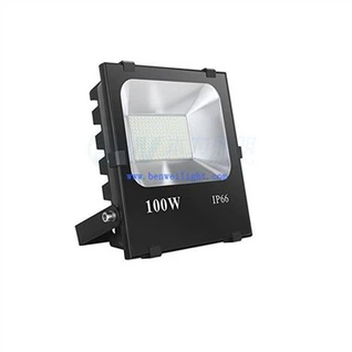 Defiant Motion Activated Flood Light
