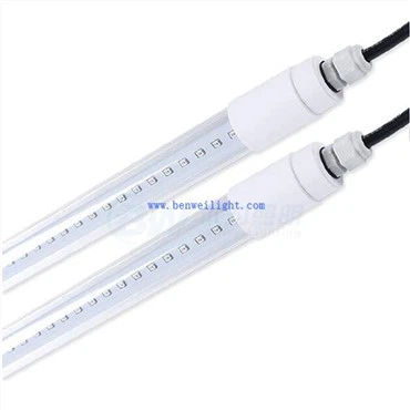 Led Poultry Lighting System