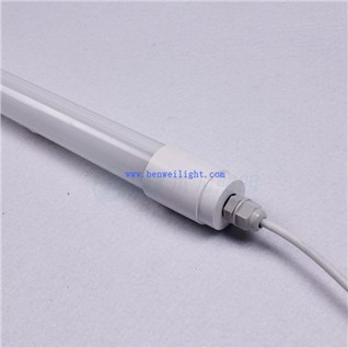 Lighting For Dairy Farming