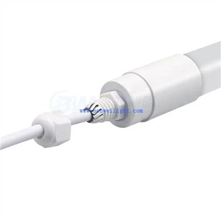 Lighting Impact On Dairy Cattle Fertility