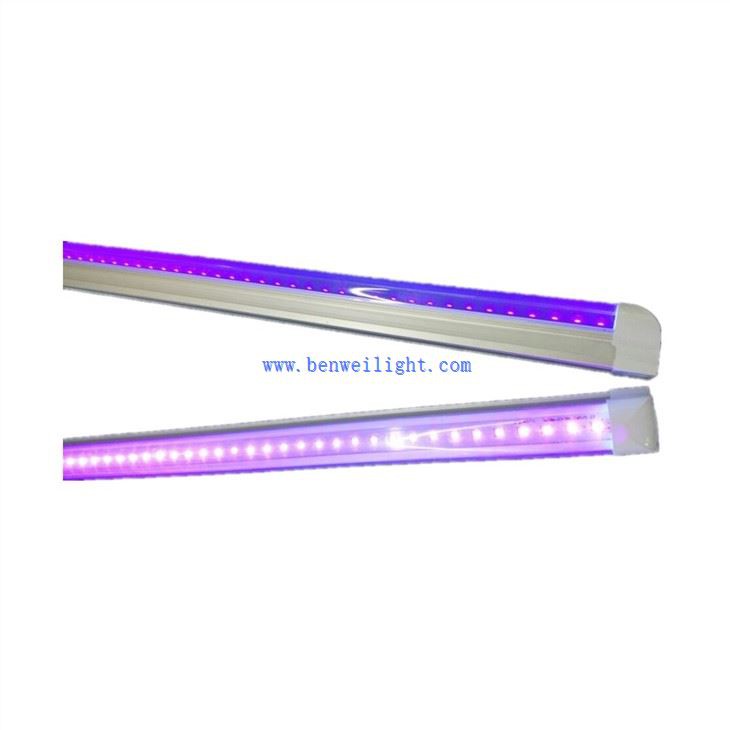 Tube Light Black