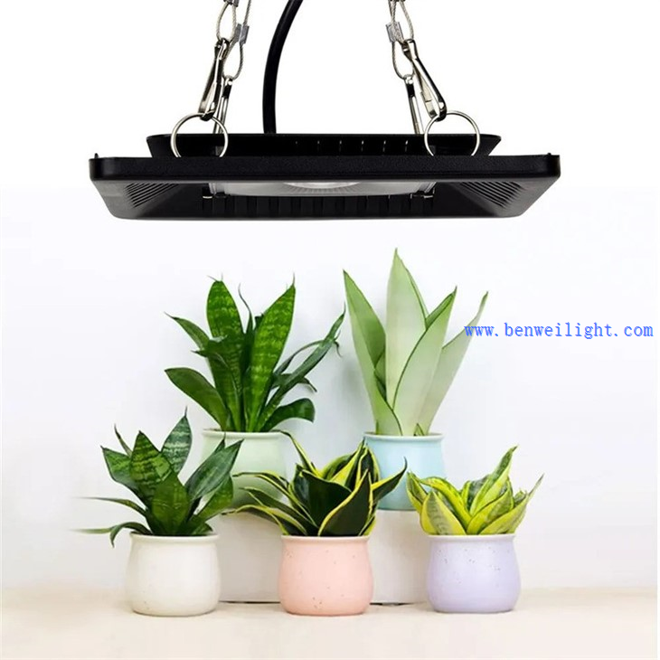 100W Waterproof IP67 Growing Phyto Lamp 1