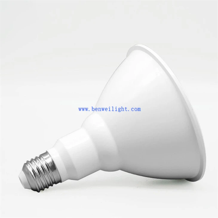 11W PAR30 LED Bulb