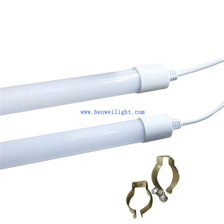 best light for chicks (22)