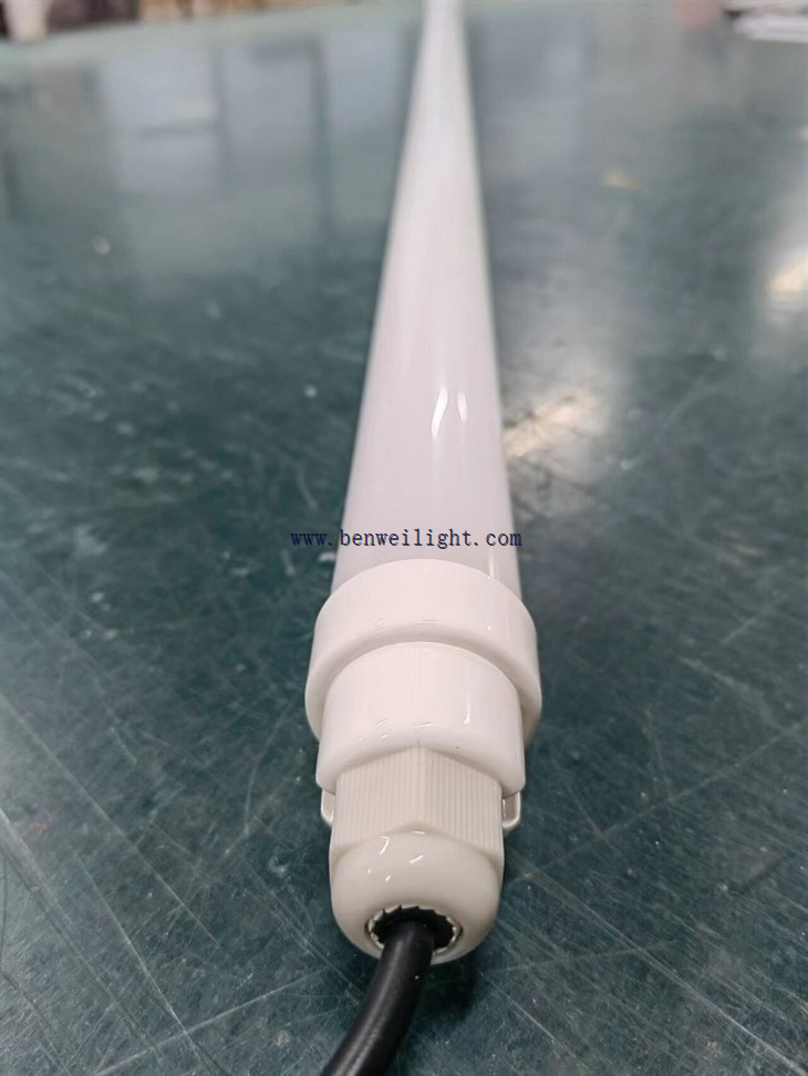 Chicken Egg LED Light Tube T12 IP67