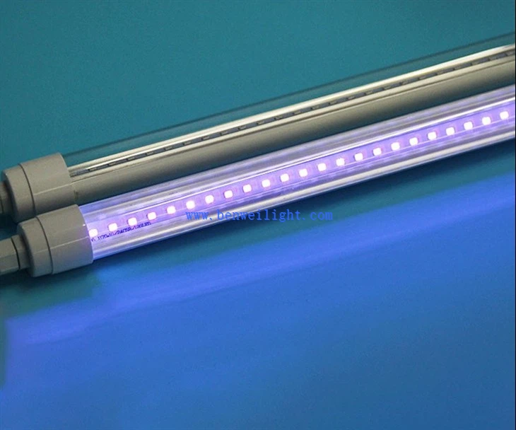 Commercial Fly Trap Lights