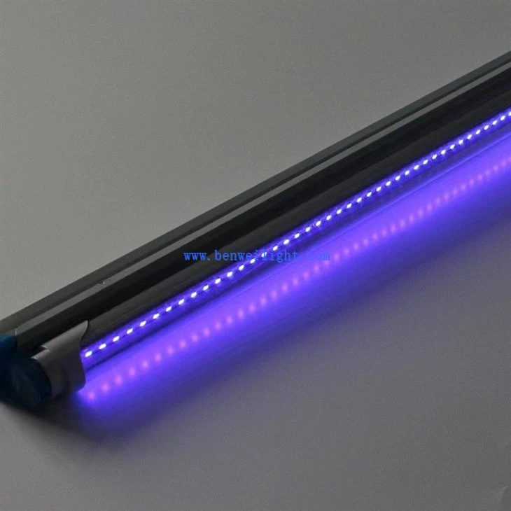 Commercial Fly Trap Lights