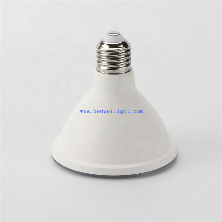 Dimmable LED PAR30 Light