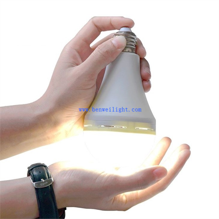 Emergency Bulb 12 Watt