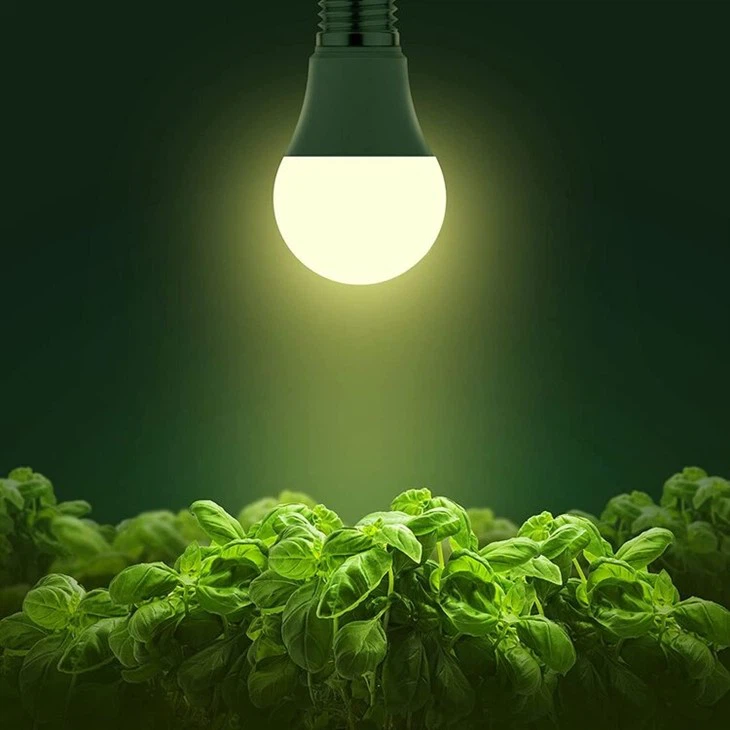 Grow Light Bulb For Indoor Plants