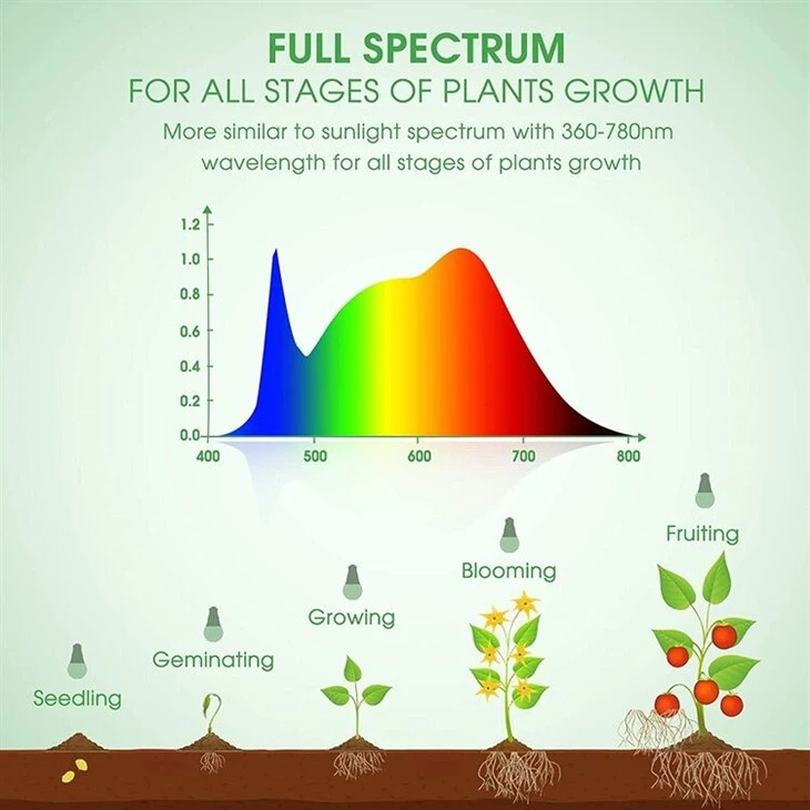 full spectrum light bulbs detail