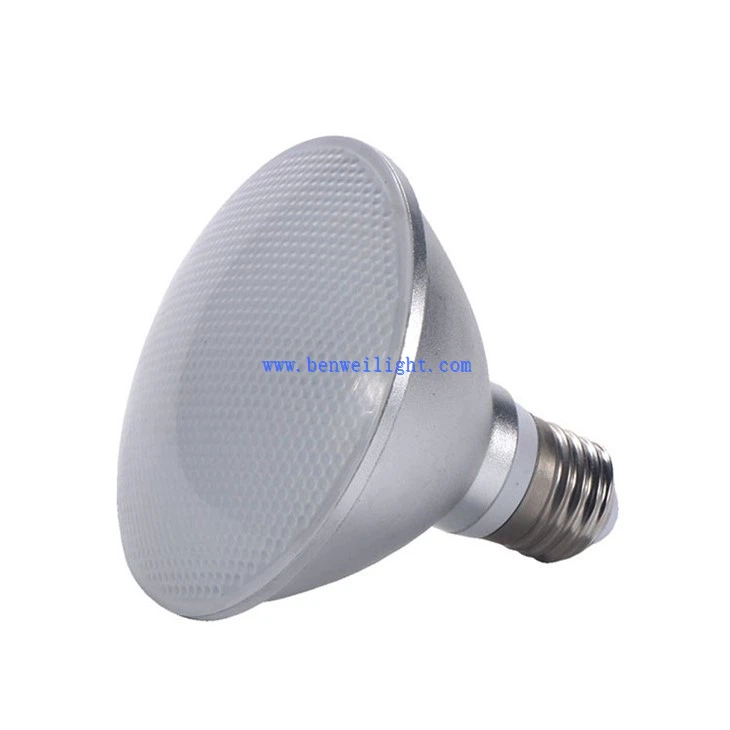 High-CRI LED PAR30 Light Bulb