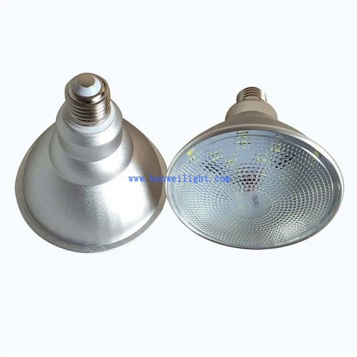 par30 long neck led