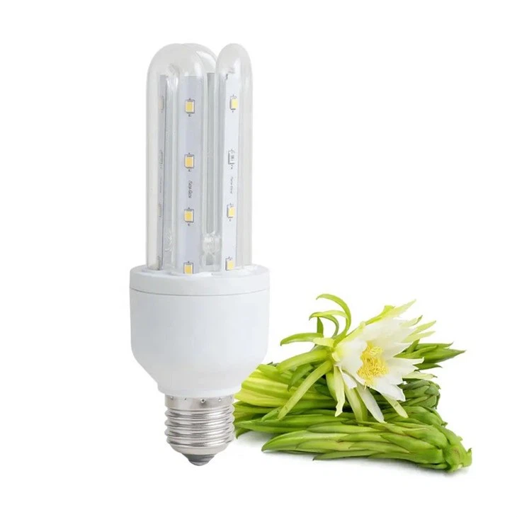 LED Grow Light for Pitaya Dragon Fruit